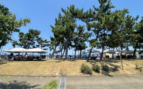りんくうマーブルビーチ全景
